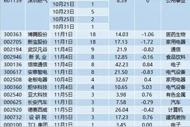 电子龙头三季度出现亏损 未来将发力三大板块业务图片