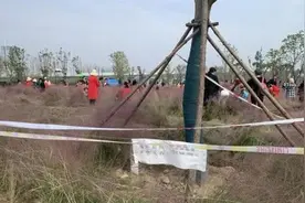 景区魔性播放“要讲素质”，劝阻踩踏花草视频封面