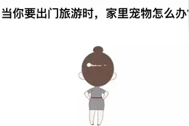 “有宠一族”，收下这份宠物乘火车攻略图片