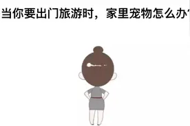 “有宠一族”，收下这份宠物乘火车攻略图片
