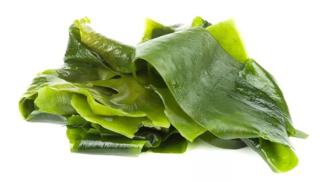 海带和裙带菜比，居然在钙含量上输了