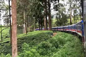 乘坐中国造“豪华小火车”穿行斯里兰卡高山茶园视频封面