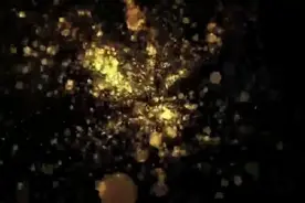 别拿疲惫不当病，几个小妙招放松你的身心视频封面