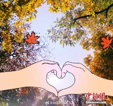 只要童心够大，秋天到处都是童话