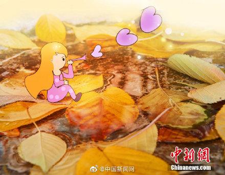 只要童心够大，秋天到处都是童话
