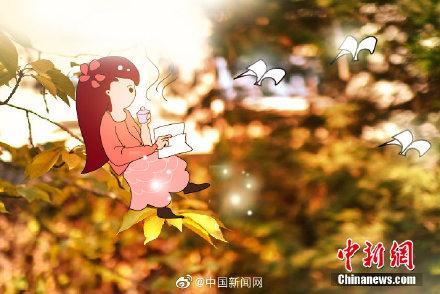 只要童心够大，秋天到处都是童话