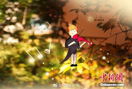 只要童心够大，秋天到处都是童话