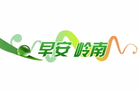 春天来了，树上又开始挂满大妈｜早安岭南图片