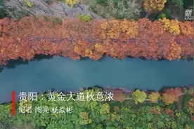 贵阳：黄金大道秋意浓视频封面
