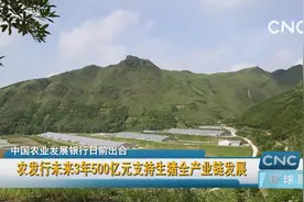 农发行未来3年500亿元支持生猪全产业链发展视频封面