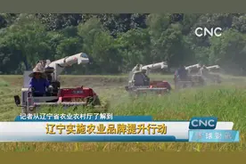 辽宁实施农业品牌提升行动视频封面