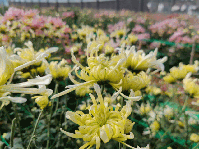 ͻժ...ʮЩ䣬죡