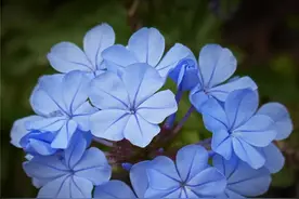 岁月是种轮回，人生是种历练，早安图片