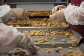 飓风和关税夹击下的美国山核桃种植户盼重回中国市场