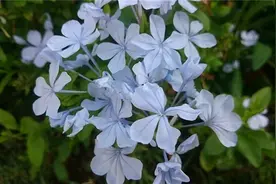 人生励志句子，生活中没有绝境，绝境在于你的心没有打开图片