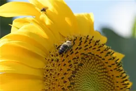 人活一辈子不容易，生命再长，也不过百年，早安图片