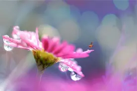 生活，就是朝起暮落的辗转；人生，就是月缺月圆的浮沉图片