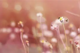 启迪人生的经典短语，句句实用，充满正能量图片