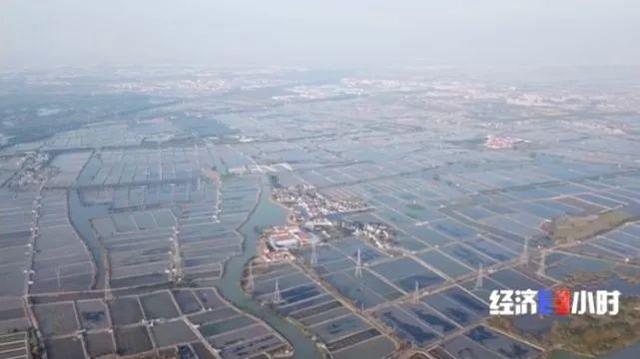 大闸蟹肥了、卖了、吃了，可阳澄湖的水该怎么办？