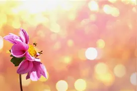 2020写给自己的励志句子，新的一年继续拼搏图片