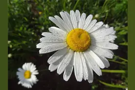 瑜伽养生的方法图片