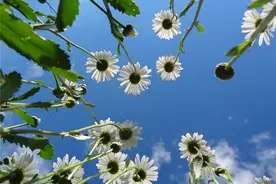 你的脸，出卖了你的生活状态图片