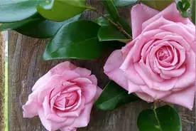 让人信心十足的句子，句句励志走心，送给拼搏路上的你图片