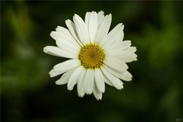 Ȧеľ˵ںֵƷ