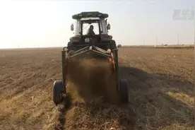 固沙又增收！它是我国第八大沙漠产出的神奇“药引子”视频封面