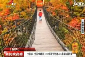 文旅部：全国A级景区1186家受到处理 405家被取消等级视频封面