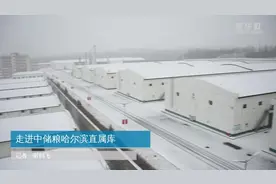 走进中储粮哈尔滨直属库视频封面