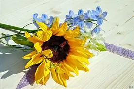 人生大彻大悟的句子，经典睿智，深刻透彻图片