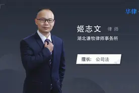 股东可以做财务负责人吗视频封面