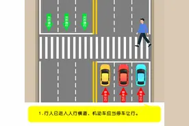 ​“机动车不礼让斑马线”如何认定？官方标准来了图片