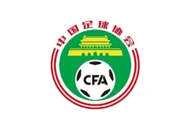 专业人做专业事，亚足联裁判讲师刘铁军出任足协裁判办主任图片
