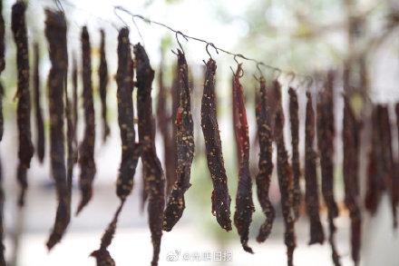 《论语》里的“束脩”是什么意思？