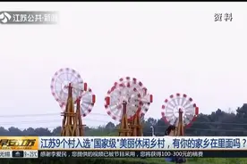 好消息！江苏9个村入选“国家级”美丽休闲乡村，南京扬州都有视频封面