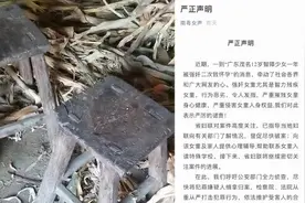 广东妇联：性侵智障女孩行为恶劣令人发指视频封面