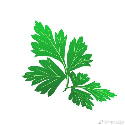 艾的意思和含义是什么（艾）