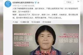 CCSER回应“梅姨”造假：对素描上色视频封面
