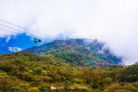 遇见，天空之城梵净山图片