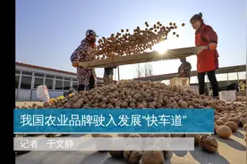 我国农业品牌驶入发展“快车道”视频封面