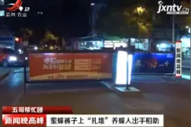 【五哥帮忙团】扬州：蜜蜂裤子上“扎堆” 养蜂人出手相助视频封面