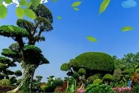 南宁这十个超美的公园，每个都值得你去走一走！图片