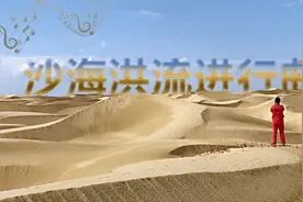 听说，这支BGM和石油人很配哦图片