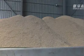 江苏粮食烘干“弃煤改电” 年均少用燃煤3万吨视频封面