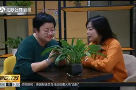 跨省换工作，社保该咋办？这些社保知识点你得知道视频封面