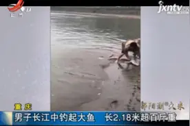 重庆：男子长江中钓起大鱼 长2.18米超百斤重视频封面