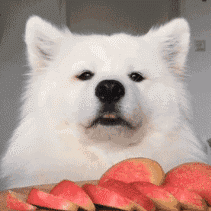 抖音上的胶水是真是假 2025年抖音上卖的胶水可靠吗