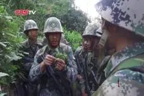 直击陆军新兵团丛林野战生存训练视频封面